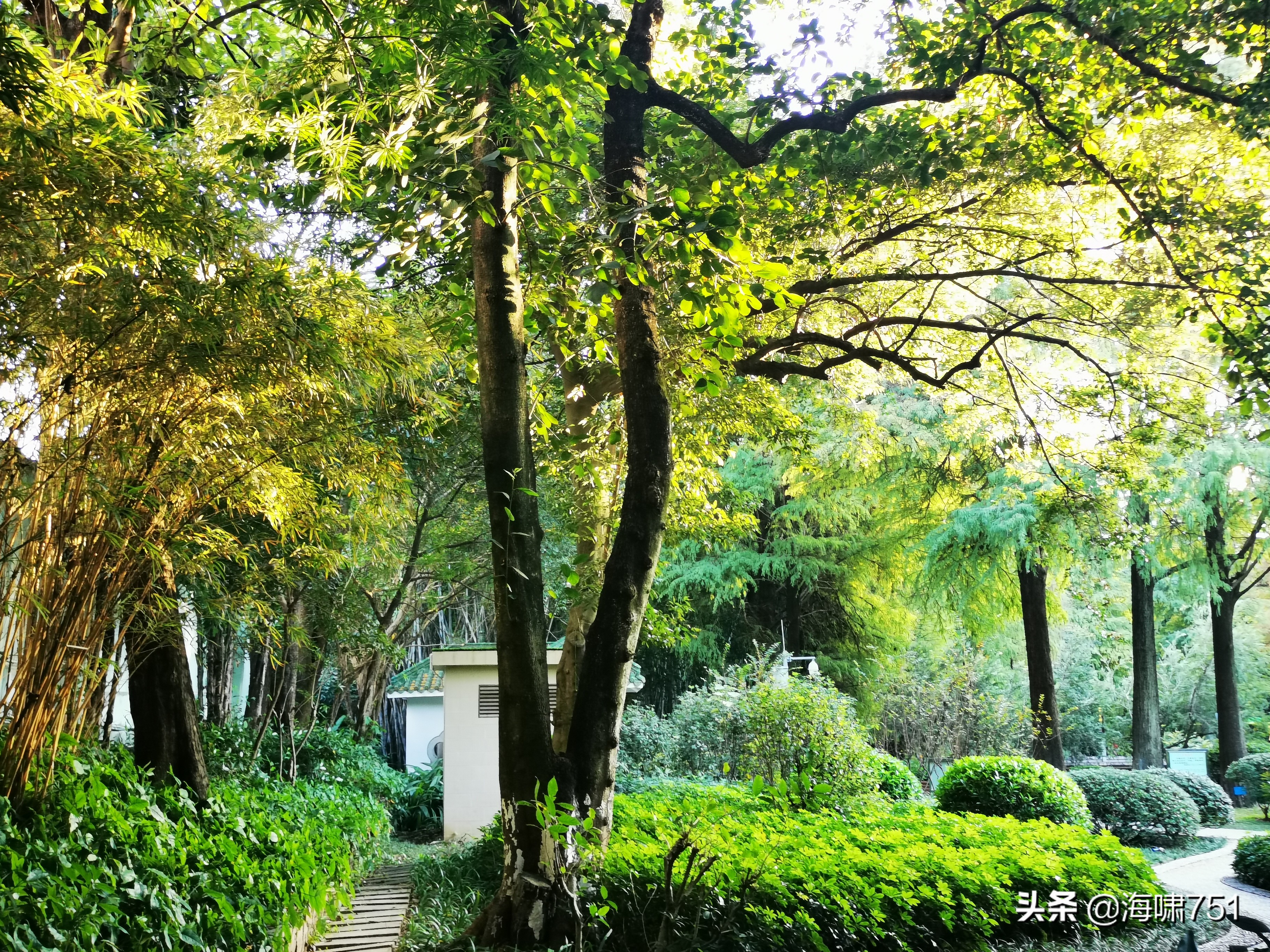 黄花岗公园开放时间,黄花岗公园停车