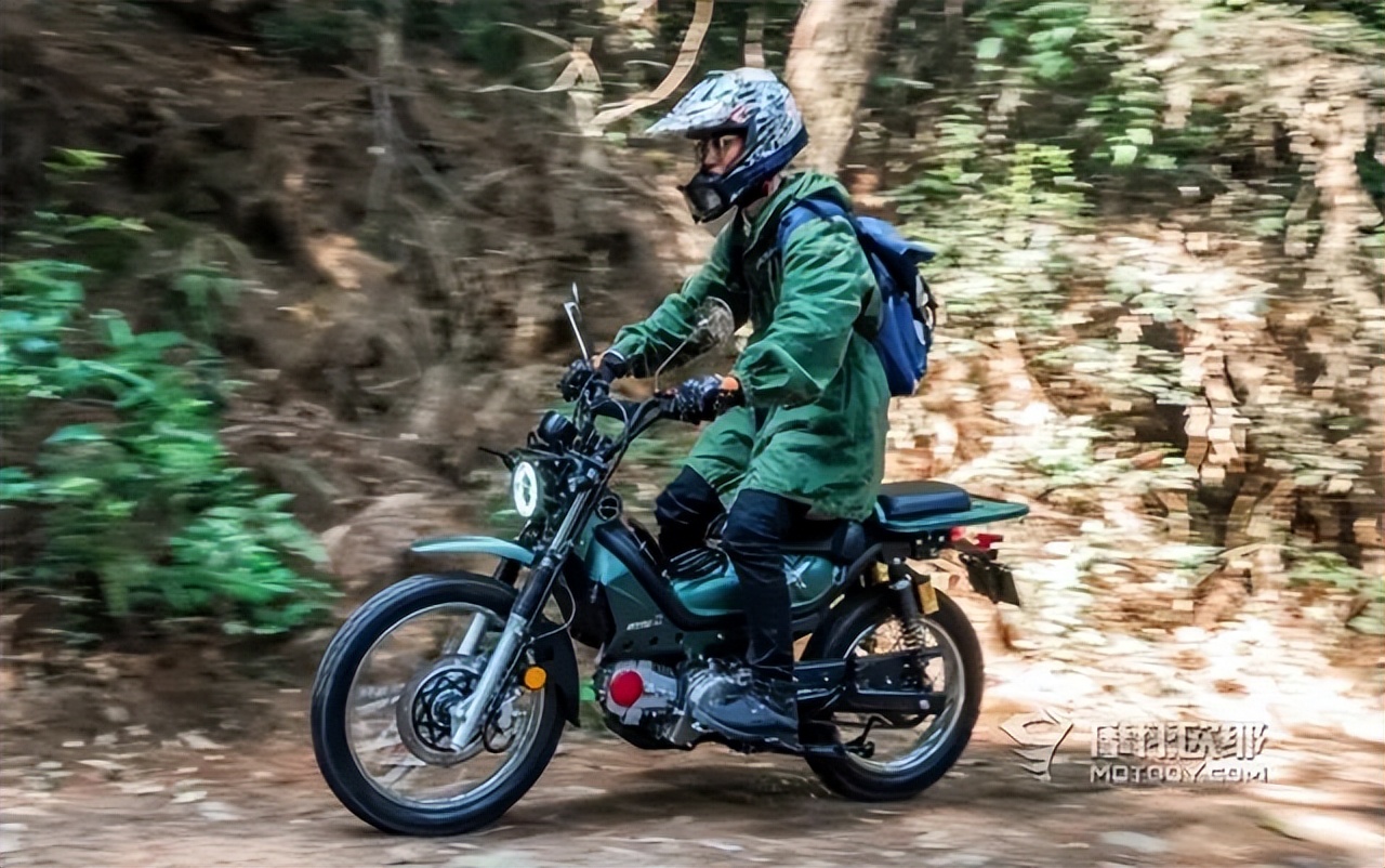 弯梁车性价比排行榜,国产弯梁4000元推荐