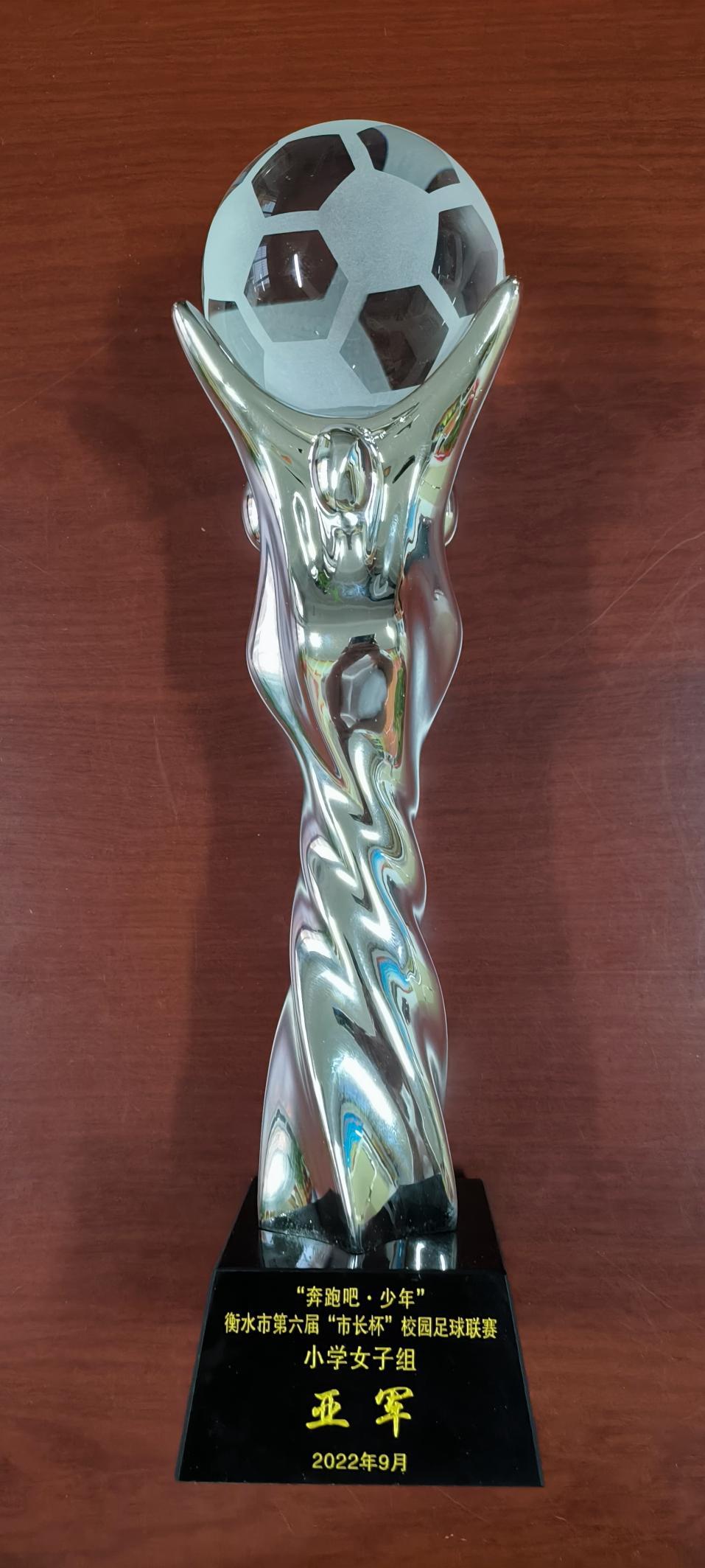 枣强第五小学足球队,枣强县第五小学足球队优秀学生