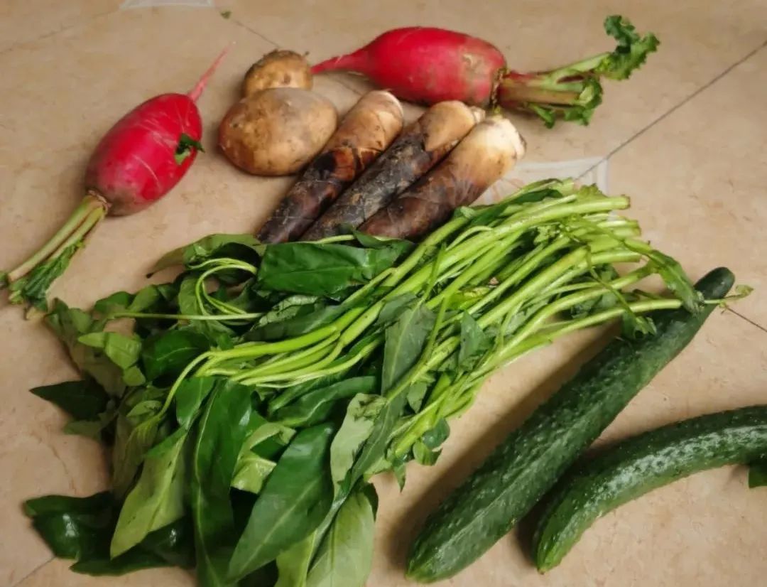 上海封控一个月开支统计：我真的不要吃莴笋了