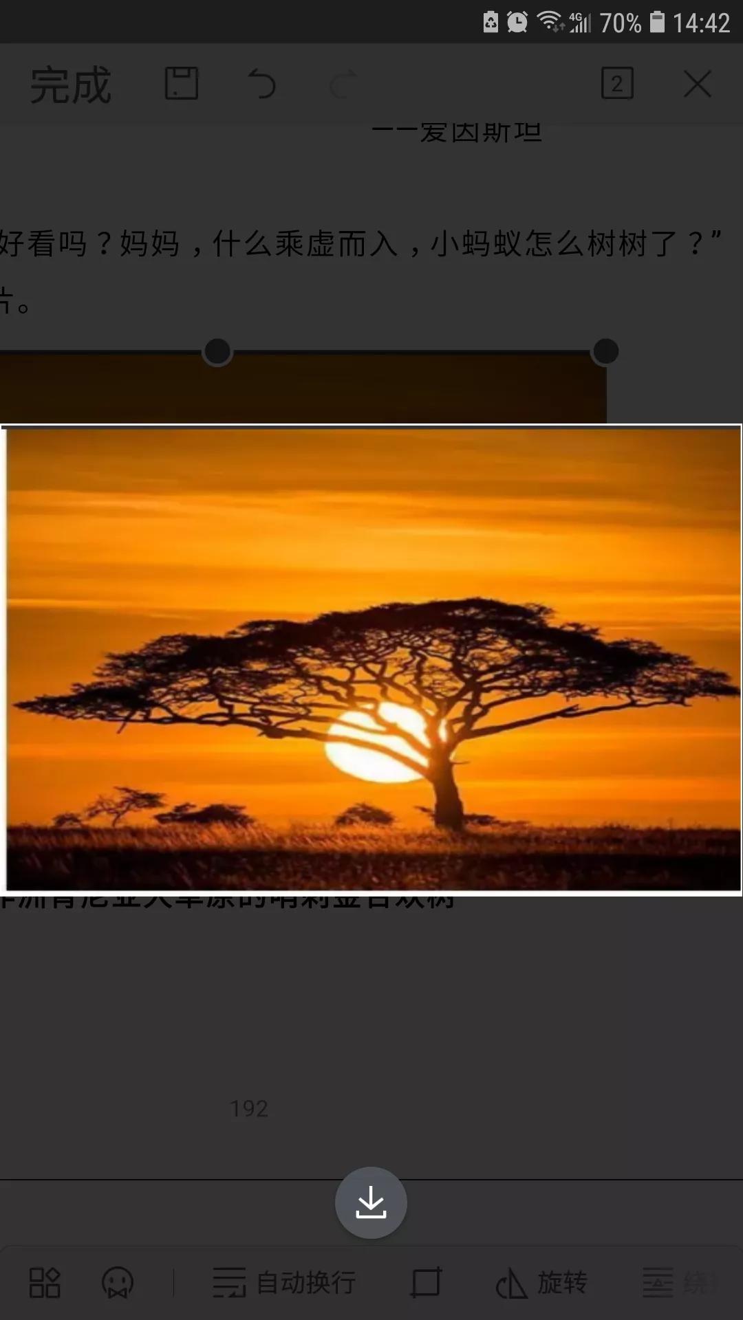 《妈妈与小孩-平行宇宙》节选35妈妈—--我要去看金*欢合**树