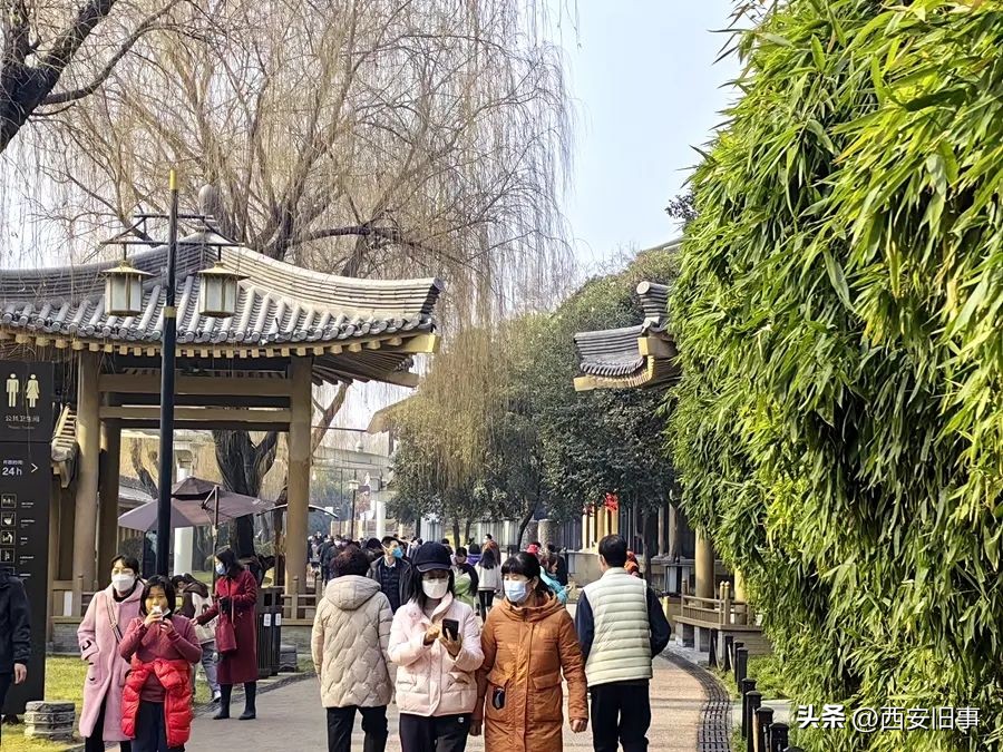 春节西安旅游三天全攻略,春节旅游西安攻略最全推荐