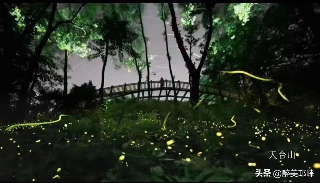 天台山避暑推荐,五一去天台山凉快吗