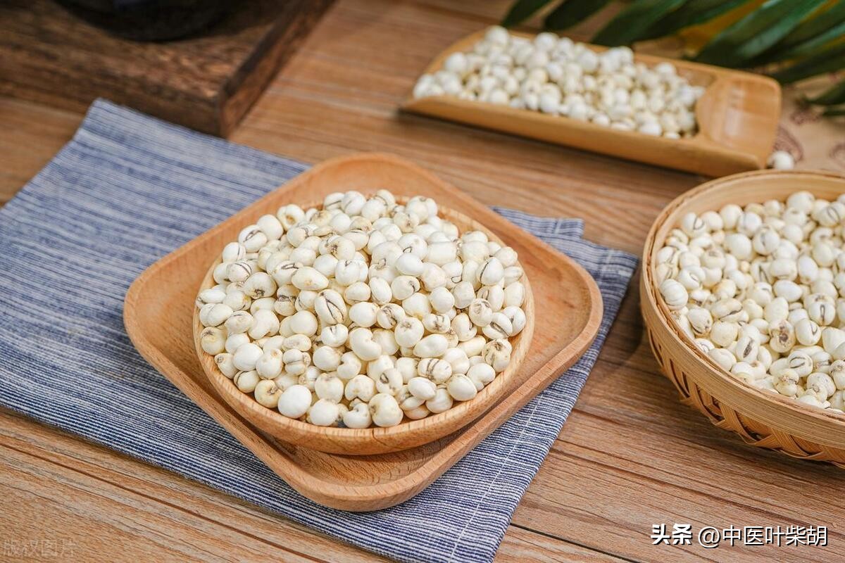 杨兆林经方治疗慢性前列腺炎,经方治疗慢性前列腺炎一例体会