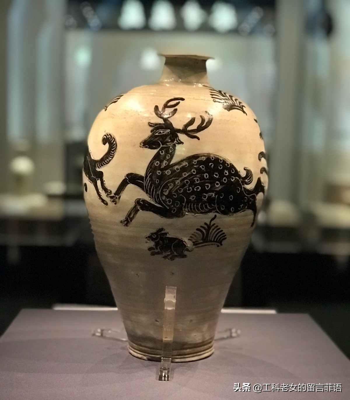 辽代陶瓷十大品种,辽代陶瓷展