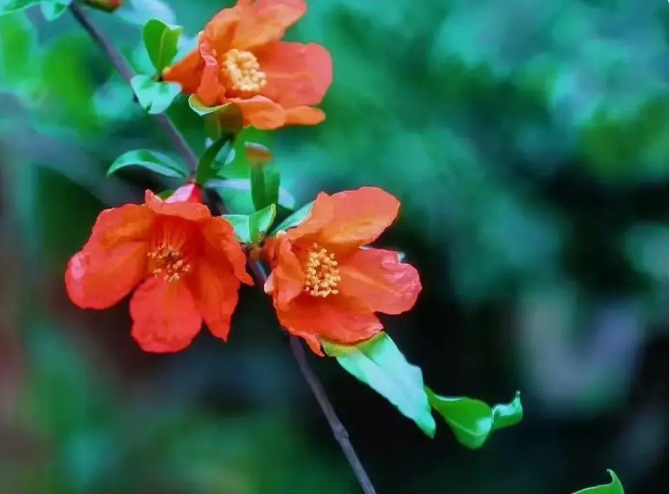 看了2022年平均工资，才知道最吃香的就业专业是哪些