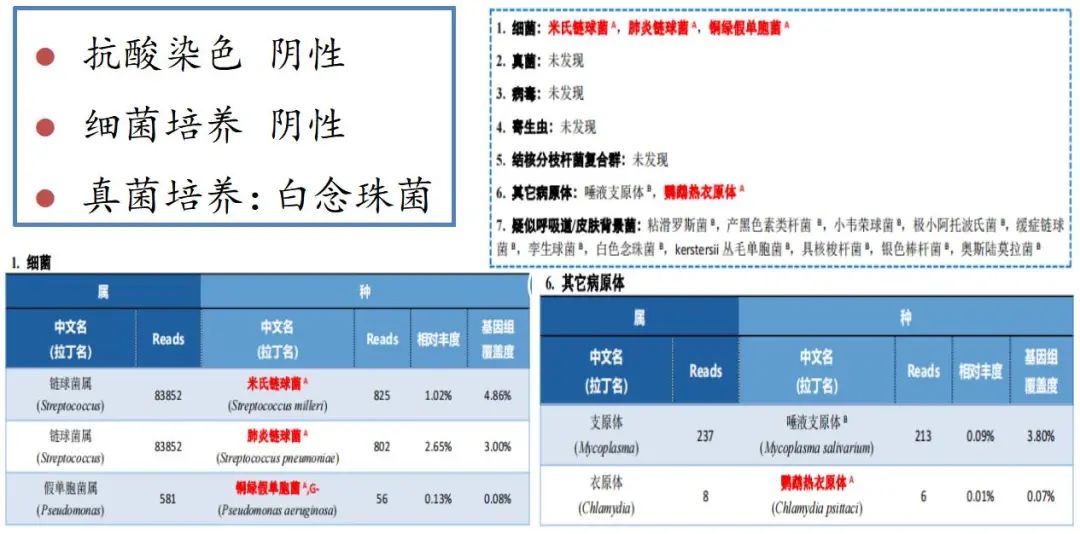 反复发烧但是拍片显示轻微肺炎,一直高烧39-40是肺炎么