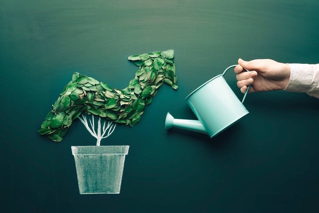 双鱼座周运势最新一周,双鱼座近期感情运势最新