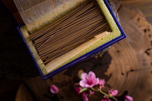 沉香树苗哪里品种最正宗最好,沉香树打孔结香