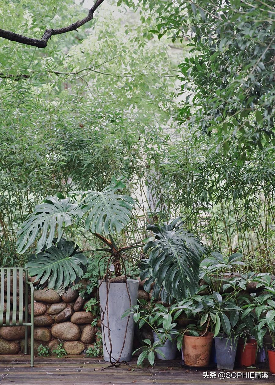 百万淘宝探店,一起探店淘宝