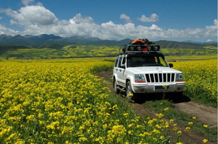 百度和高德地图在市区哪个好用,百度和高德地图哪个收费准确