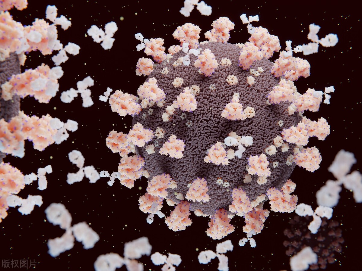 什么药对新冠没有作用,最新什么药对新冠有效果