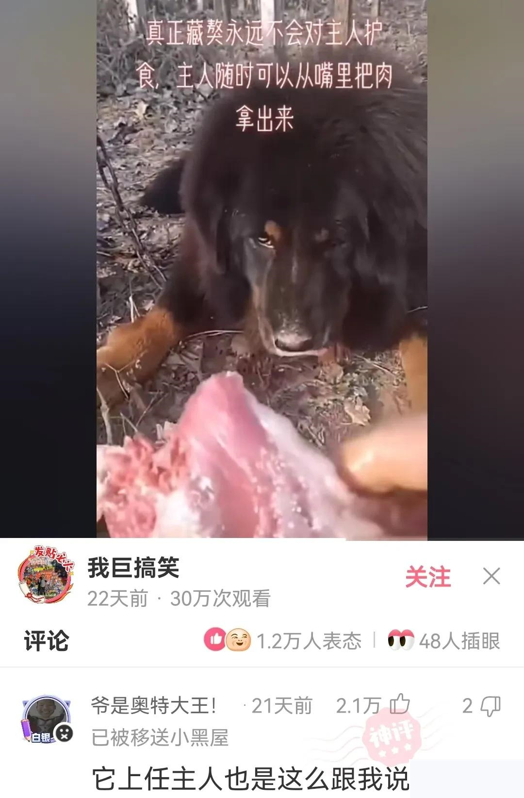 人死为什么叫死鬼,人死后为什么叫死鬼呢