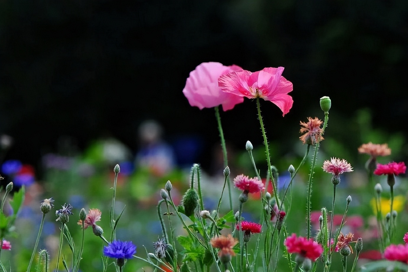三观相合能量对等,人之间最舒服的关系是三观相同