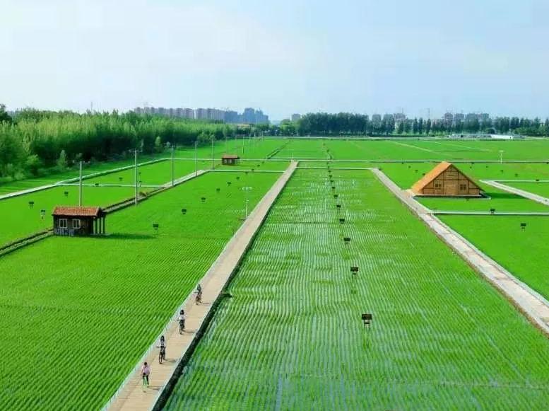 如何通过政策支持农业可持续发展,农业可持续性发展的理论与实践