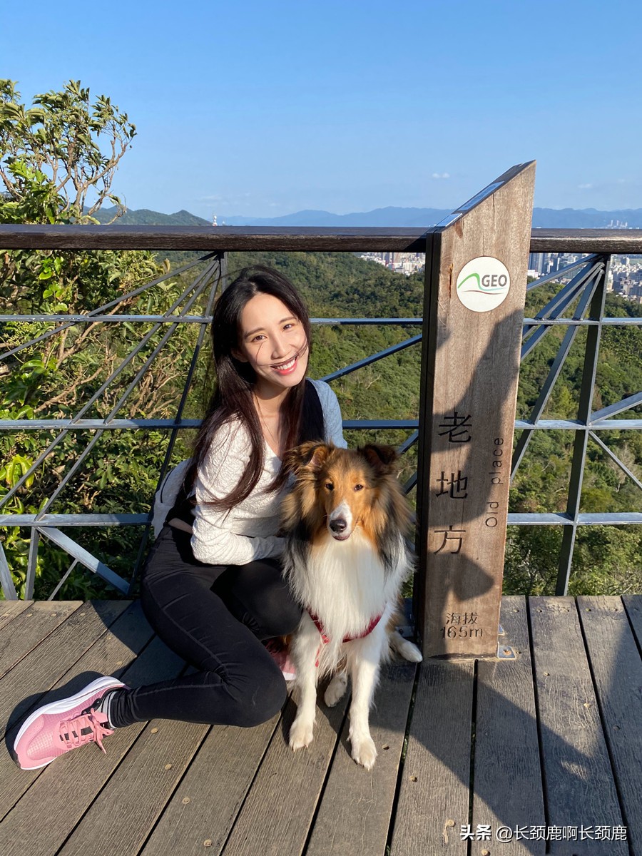 瑶瑶和前男朋友分手,台湾明星瑶瑶年轻时候的样子