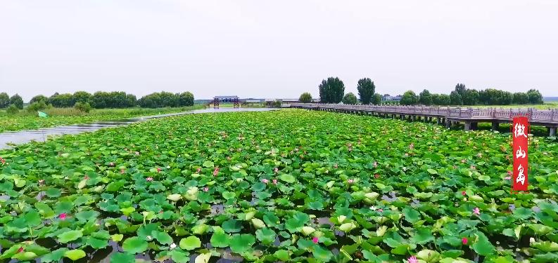 美！青山绿水间，留下一抹齐鲁红！