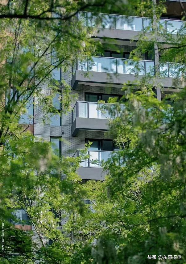 如果能投票，你最希望哪家郑州本土房企渡过危机？