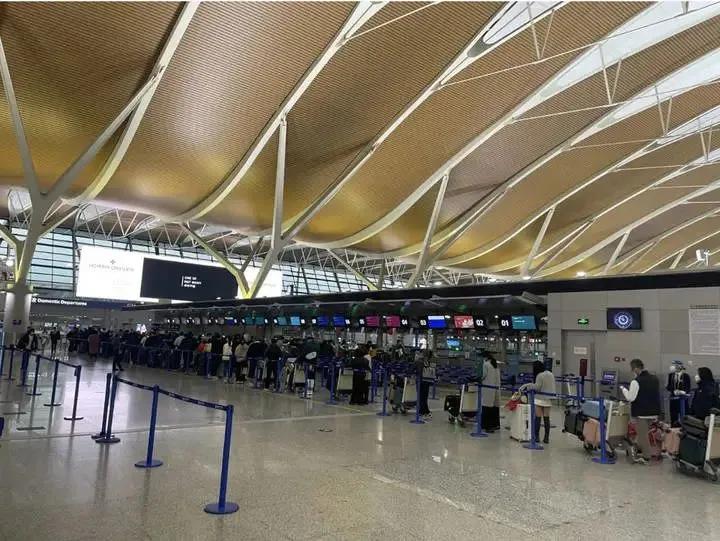 韩国要求日本挂黄牌吗,日本给中国游客挂红牌