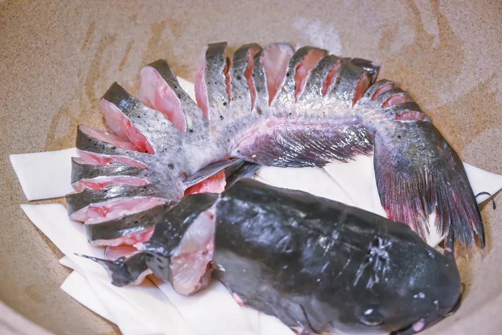 草帽鱼蒸汽石锅鱼团购万象汇,廊坊草帽鱼蒸汽石锅鱼永兴路