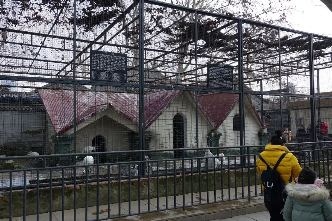 杩炰簯娓柊娴﹀叕鍥姩鐗╁洯,杩炰簯娓柊娴﹀姩鐗╁洯