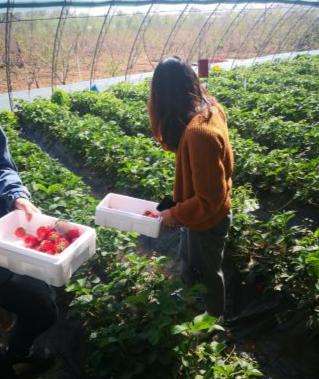 疫情结束后，每个秦皇岛人都想完成的50件小事！