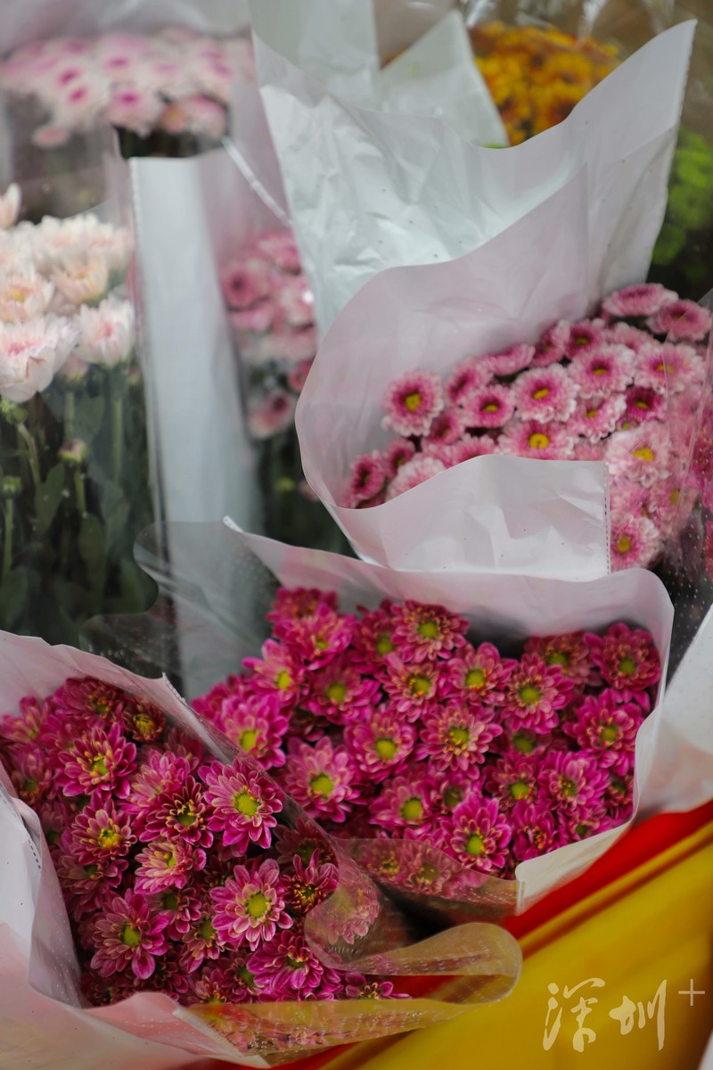 深圳八卦岭好玩的地方,深圳八卦岭附近拍照打卡圣地