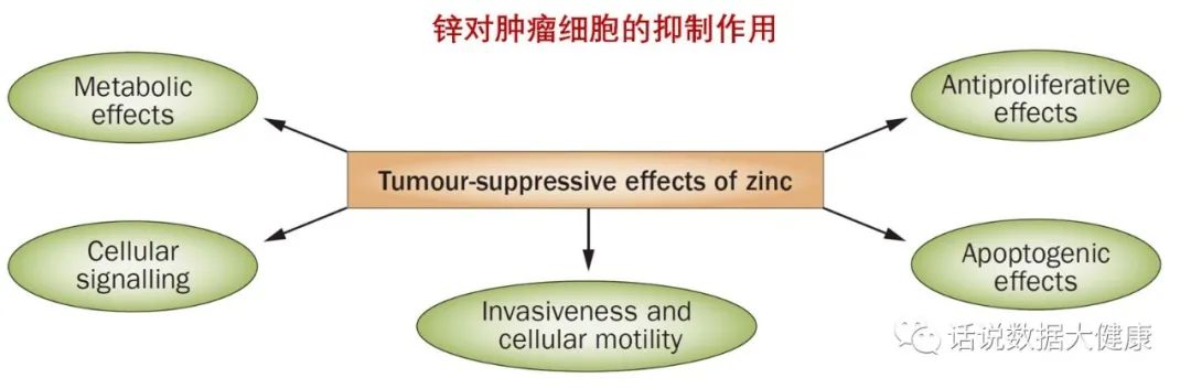 前列腺补锌,男性缺锌对前列腺有影响吗