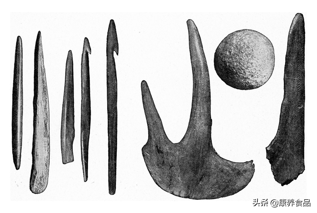 海洋下的神秘宝藏,我国海洋新宝藏