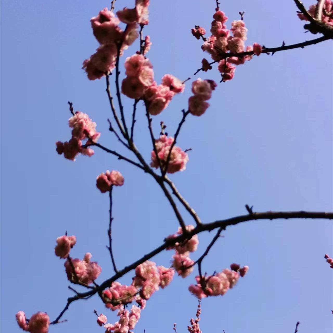 一床盖了二十年的老棉被,一床七十年代棉被