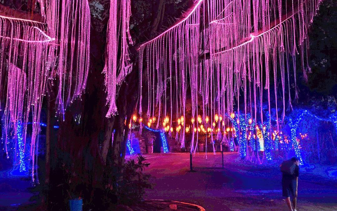 恢复开园！12种玩法带你玩转深圳观澜湖生态运动公社