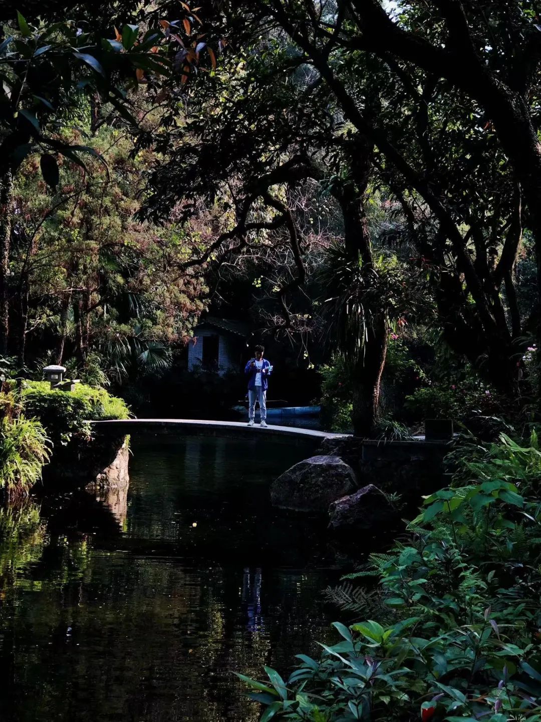 慢下来看风景静下来陶冶情操,慢下来享受安静的惬意时光