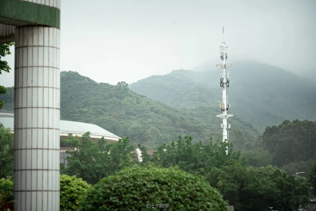 回忆石岩公学,石岩公学5年级