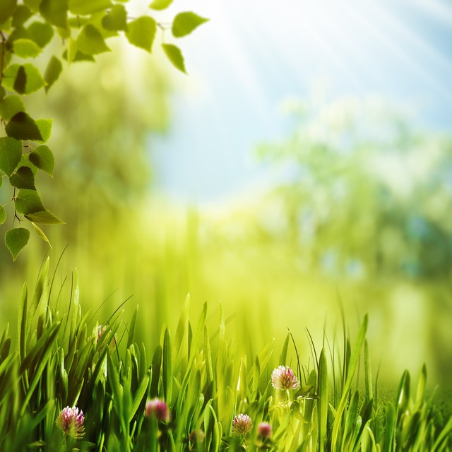 有什么办法可以让老婆不烦自己,怎么去哄自己的老婆才不生气