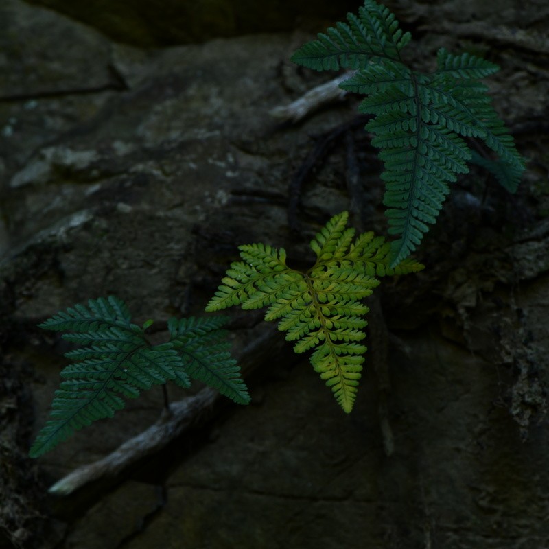 鐩樼偣鍏斿瓙鏈夊鍙埍,鐩樼偣12绉嶈秴钀屽彲鐖辩殑鍏斿瓙