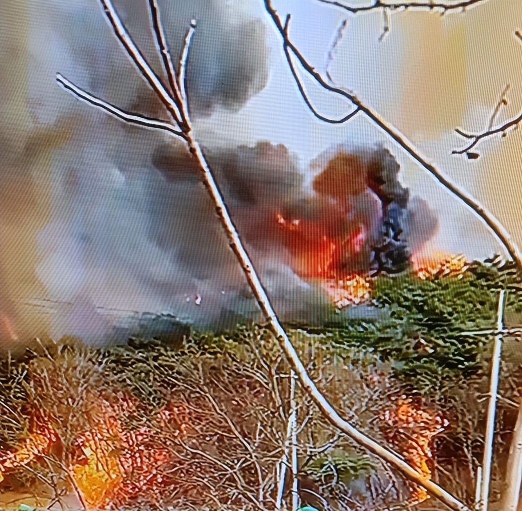 火海被烧,韩国山火过火面积