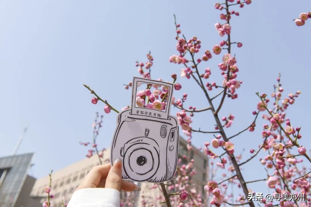 河南科技大学春景,河南科技职业大学校园春景