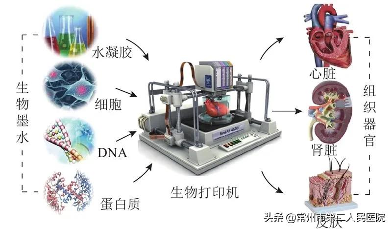 秦医生采访,秦医生的日记