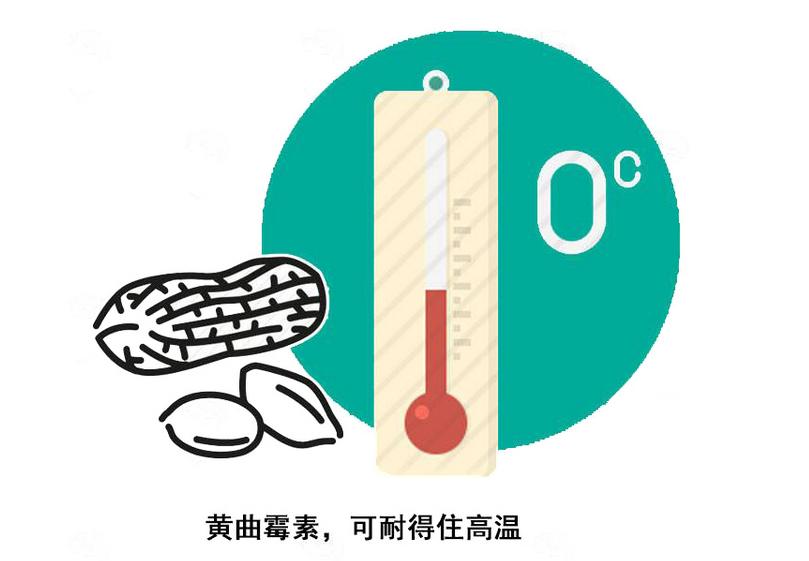 绞肉机到底实不实用,医生提醒停止使用绞肉机
