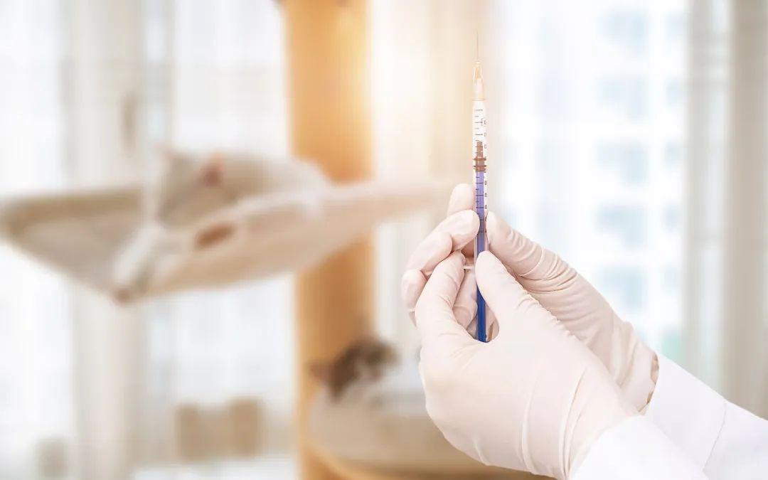 体验理疗仪途中忽然死亡，赔31万余元！经营者责任如何认定？