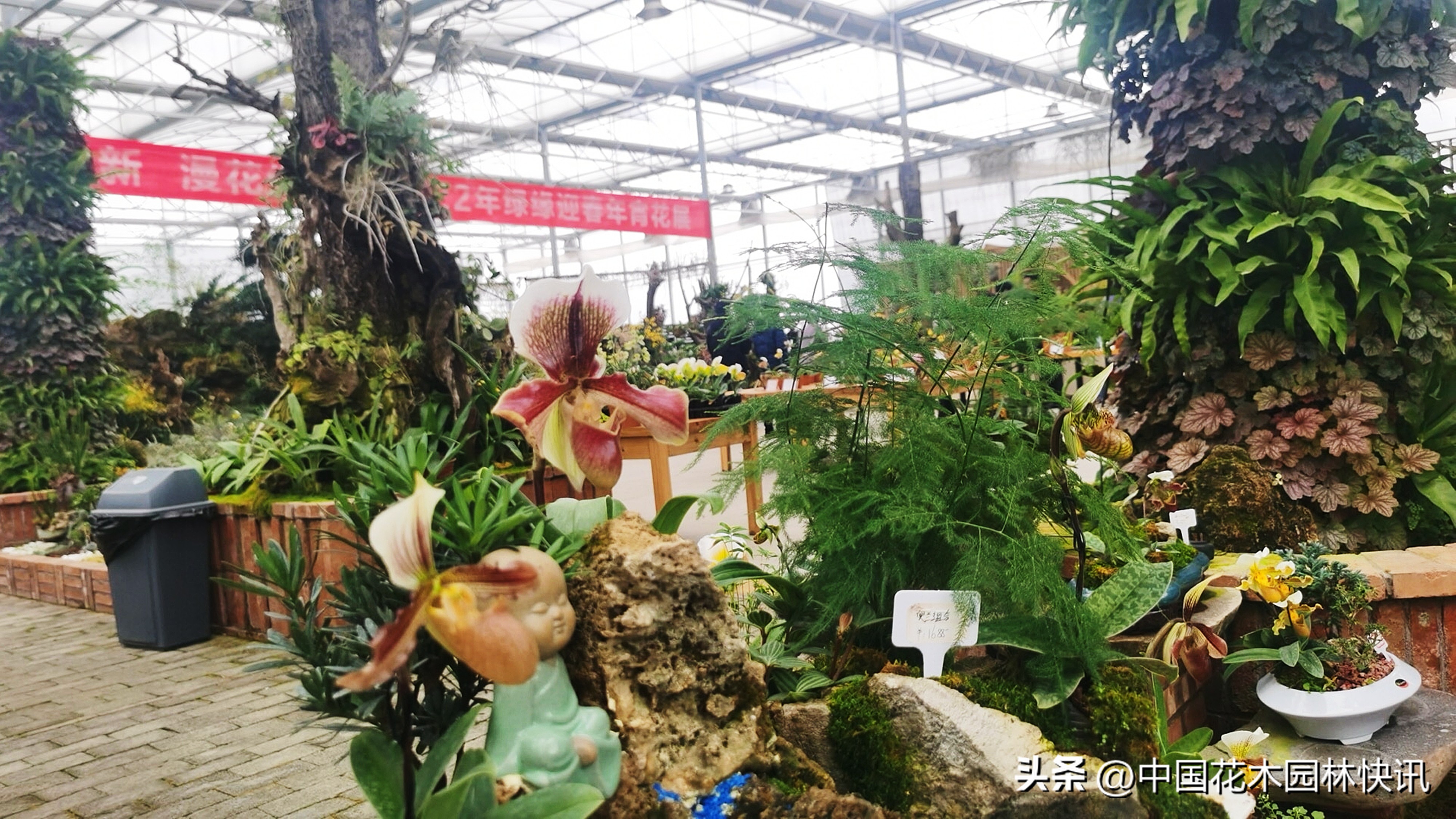 贵阳兰花展日期,11届中国兰花贵阳博览会