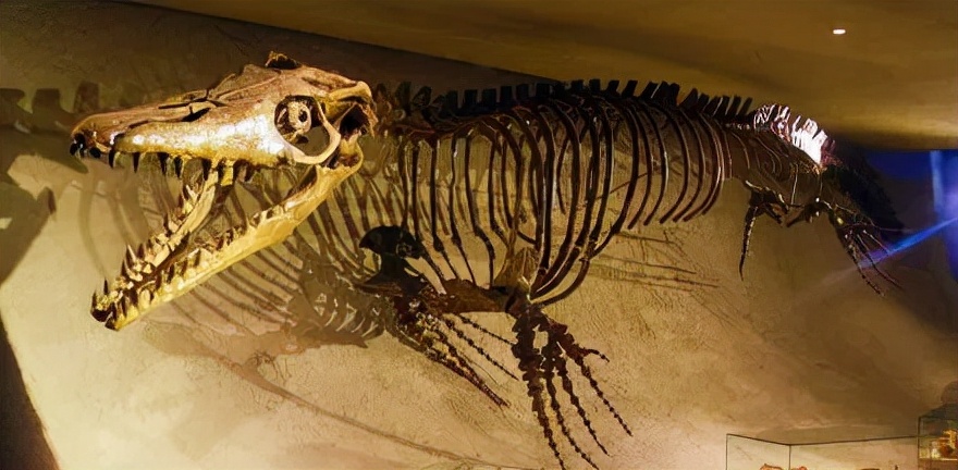 恐龙世界认识史前各种恐龙,食草恐龙和食肉恐龙科普视频