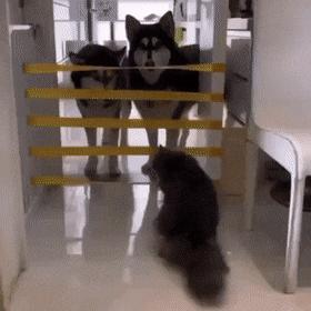 女友刚洗完澡该怎么回复,女朋友洗完澡冷得很该怎么回复