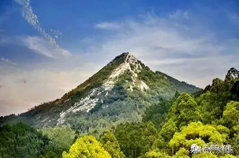 春季国内观鸟热门地,这份观鸟地图请收好