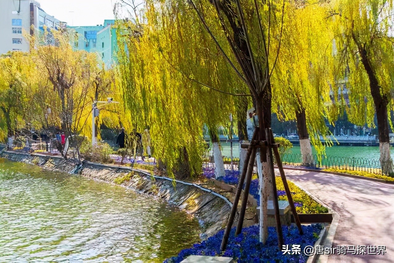 南昌8个公园相亲角,南昌八个公园相亲角