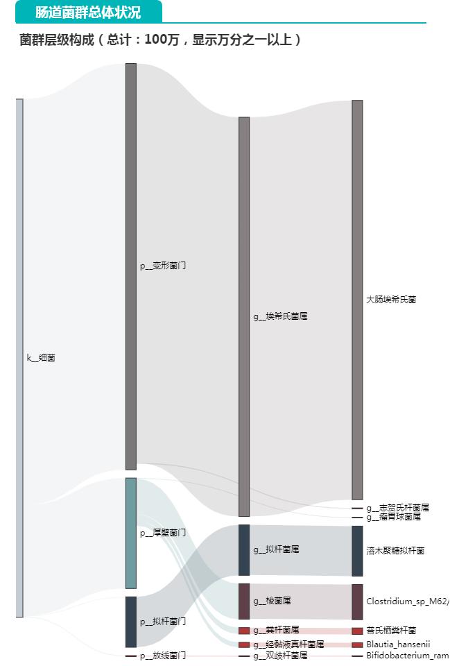 猫肠道菌群活性显微镜,猫肠道菌群类型图