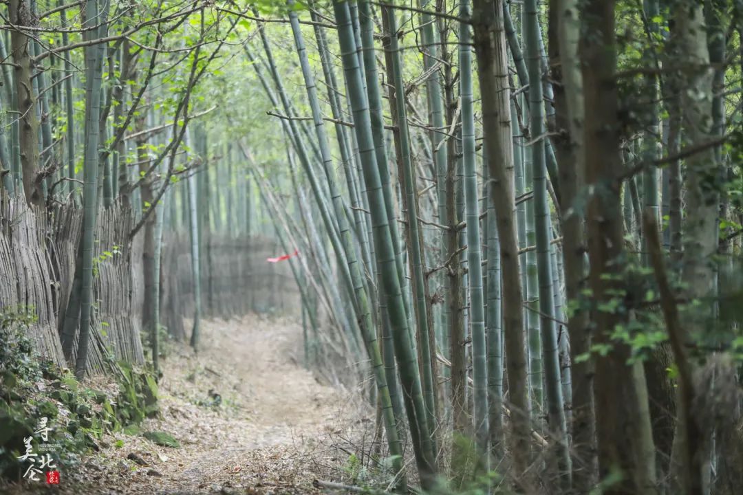 北仑徒步爬山推荐,北仑冷门爬山路线