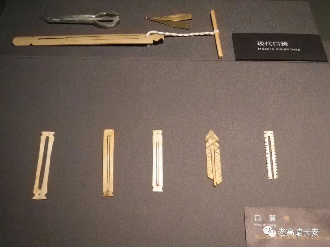 陕西考古博物馆几点放号,陕西考古博物馆门票预约