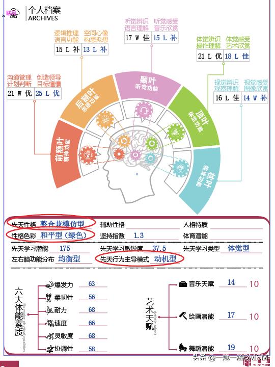 【一赋一涵BMSM天赋测评】性格色彩特点深度解析