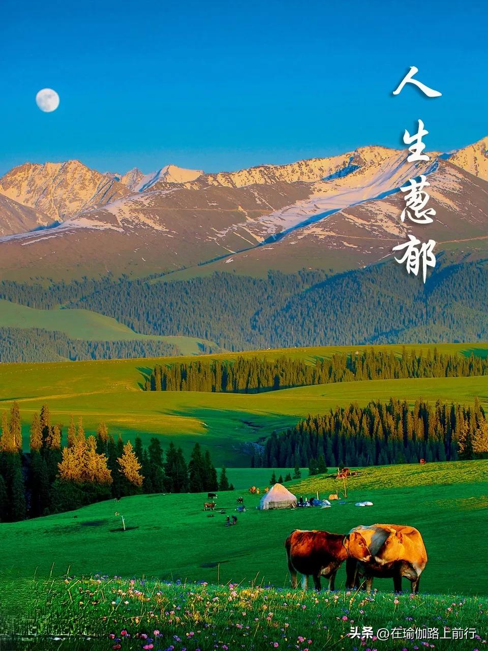 如何面对愤怒的人,怎么应对暴躁的人